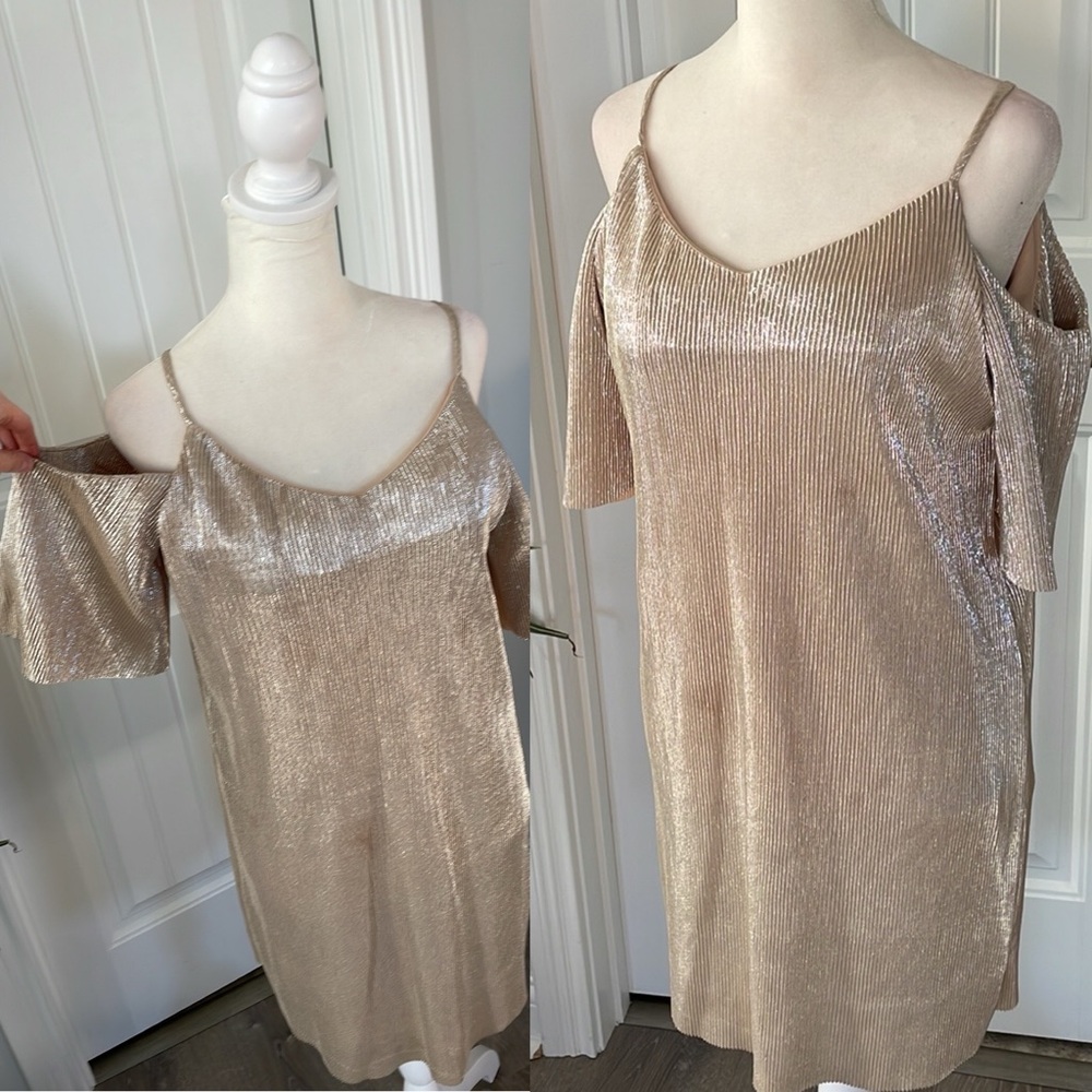 DO+BE champagne metallic accordion dress • size small